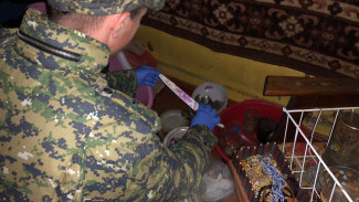 Под Астраханью 46-летняя женщина подозревается в убийстве сожителя