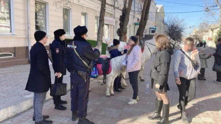 В Астрахани борются с незаконным катанием на лошадях