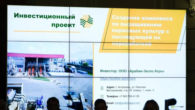 В Астраханской области создадут агрокомплекс по производству кормов для сельхозживотных