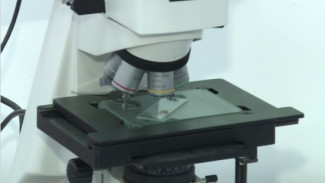 Молодые астраханские учёные представили новые разработки