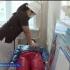 Сегодня Международный День медицинской сестры