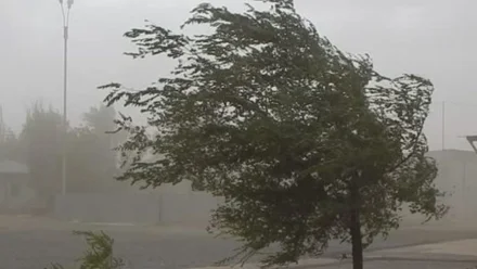 Коммунальные службы Астрахани переведены в режим повышенной готовности из-за ветра