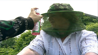 Сезон мошки продержится в Астраханской области до конца июня