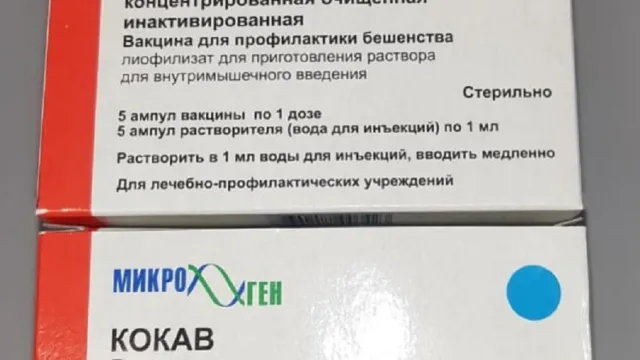 В Астраханскую область доставили 2 тысячи доз вакцины от бешенства