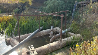 В Астрахани СНТ незаконно пользовались водой из протоки Царев