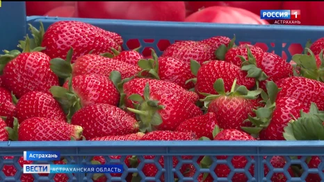 На астраханских рынках - сезонные перемены