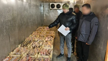 Под Астраханью пограничники обнаружили на складе более 1 тонны частика