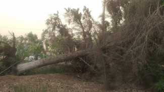 В Астраханской области во время бури пострадала 10-летняя девочка