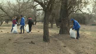 Астраханские активисты очистили от мусора участок берега реки Бузан