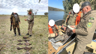 В Астраханской области выявили первых охотников-нарушителей