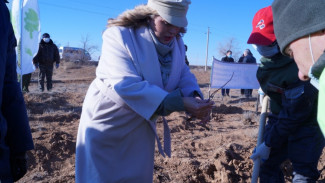 Анна Семенович поучаствовала в посадке деревьев в Астраханской области