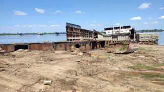 Суд обязал компанию выплатить более 4 млн рублей за вред почве и Волге в Астрахани