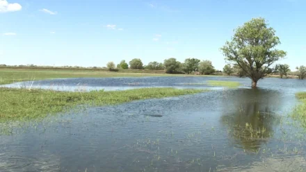 В Астрахани обсудили предстоящий паводок