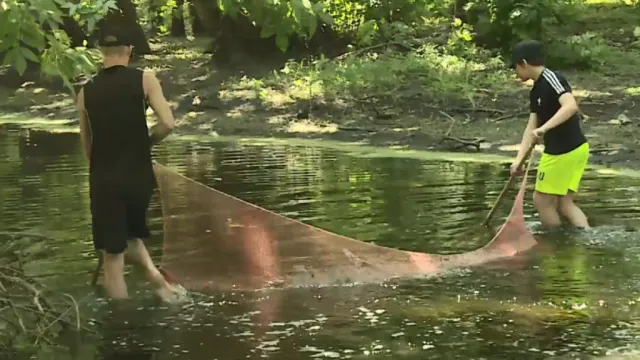 В Астраханской области застрявших в водоёмах мальков спасают “Голубые патрули”