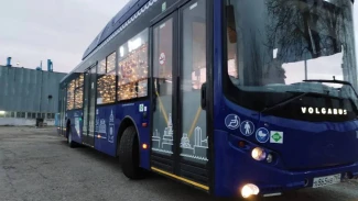 Новогодние автобусы начали курсировать в Астрахани