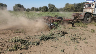 В Астрахани прошел очередной этап операции «Мак–2025»