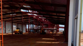 Под Астраханью строят завод по производству корма для домашних животных