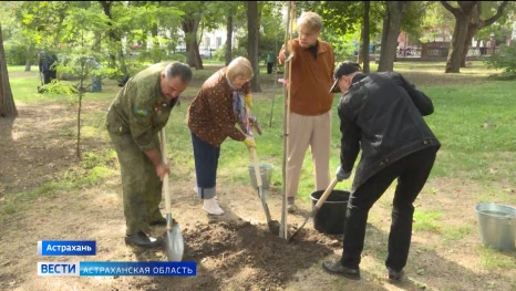 В Братском саду Астрахани высадили деревья