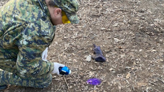 СК завёл дело по факту убийства 14-летней девочки под Астраханью