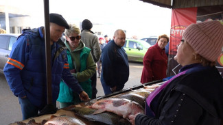 В Астрахани прошла рыбная ярмарка 