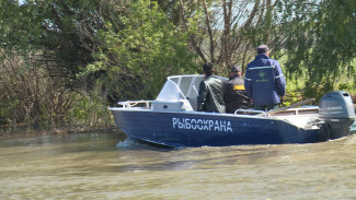 В Астраханской области водоёмы очищают от рыболовных сетей