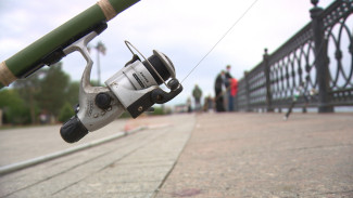 Позволят ли астраханским рыбакам продавать излишки улова