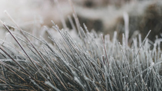 Какая погода прогнозируется в Астрахани 12 декабря 