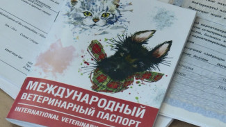 Астраханцам напоминают о порядке вывоза домашних животных из страны