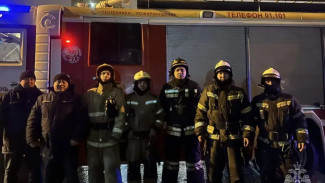 В Астрахани спасли 16-летнюю девушку и её кота из горящей квартиры