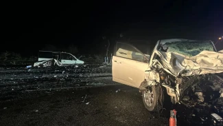 Под Астраханью установлен владелец коровы, которая стала причиной смертельного ДТП