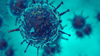 В Астраханской области число жертв коронавируса увеличилось до 54