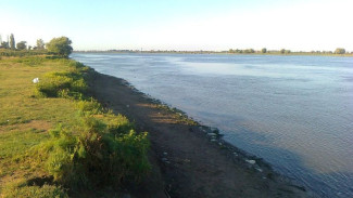 В пробах воды из астраханской реки Бахтемир обнаружили пестициды 