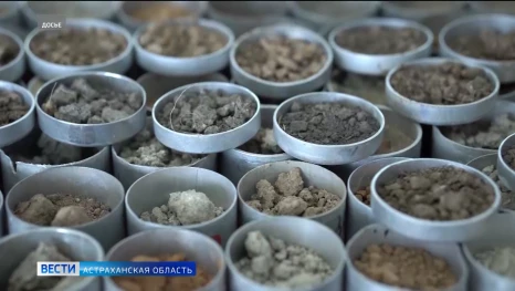 В Астраханской области нашли тяжёлые металлы в землях сельхозназначения