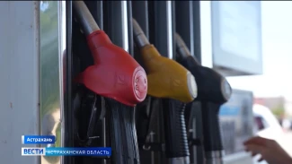 ФАС России возбудила 15 дел против нефтекомпаний и продавцов топлива