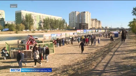 В Астрахани соберутся около 200 фермерских хозяйств со всей области