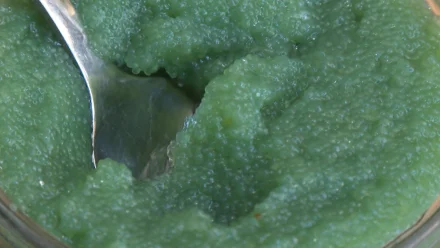 Гастротуризм в Астраханской области: новые направления