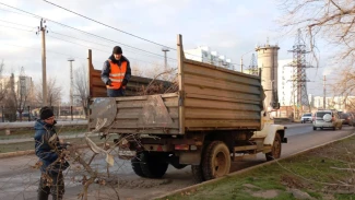 В Астрахани с 30 несанкционированных свалок вывезли более 110 тонн мусора