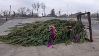 В Астрахани новогодние ёлки пострадали от рук вандалов