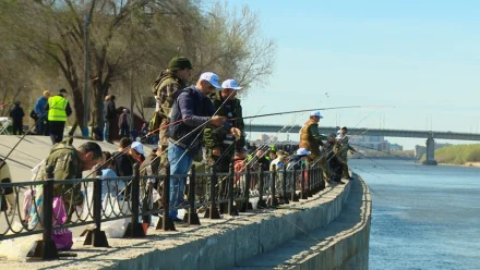 Организаторы фестиваля “Вобла” уделяют особое внимание экологии