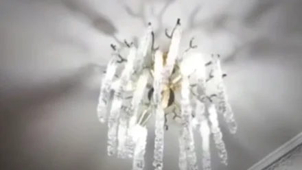 Астраханцы почувствовали отголоски землетрясения в Каспийском море