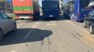 В Астрахани в ДТП пострадала 8-летняя пассажирка автобуса