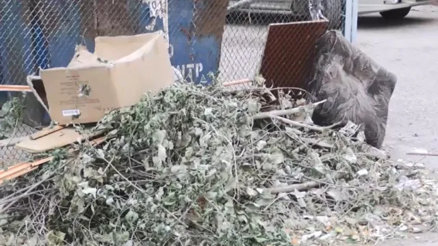 Со стихийных свалок Астрахани вывезли почти 70 тысяч кубометров мусора