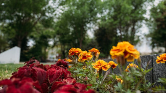 Четыре города Астраханской области претендуют на благоустройство