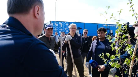 В Астраханской области предложили сажать дерево в честь рождения ребёнка