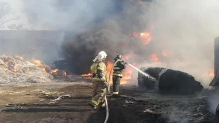 В Трусовском районе Астрахани на полигоне ТБО тушат крупный пожар