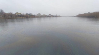 В Астрахани в реку Прямая Болда слили нефтепродукты 