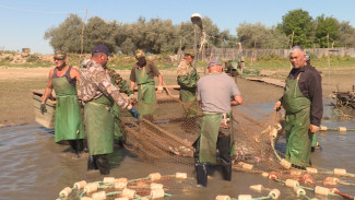В Астраханской области началась осенняя путина