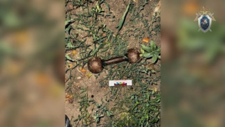 Астраханец убил знакомого гантелью