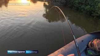 Рыбацкие паблики Астраханской области наполняются фотографиями и видео с поимкой сомов