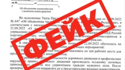 МВД России назвало фейком информацию о проведении мобилизационных мероприятий сотрудниками ГИБДД